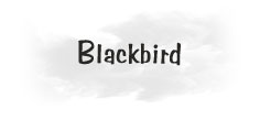 BLACKBIRD