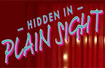 HIDDEN IN PLAIN SIGHT 2.0 DIGITAL VERSION