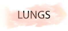 LUNGS