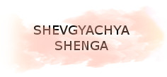 SHEVGYACHYA SHENGA